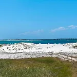 Destin Dolphin