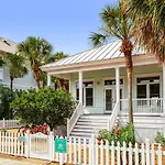 Destin Dolphin