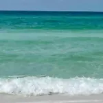 Gulf Walk 102