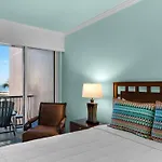 Mediterranea 306B By Newman-Dailey