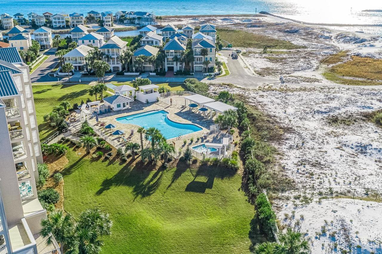 Dolphin * Destin