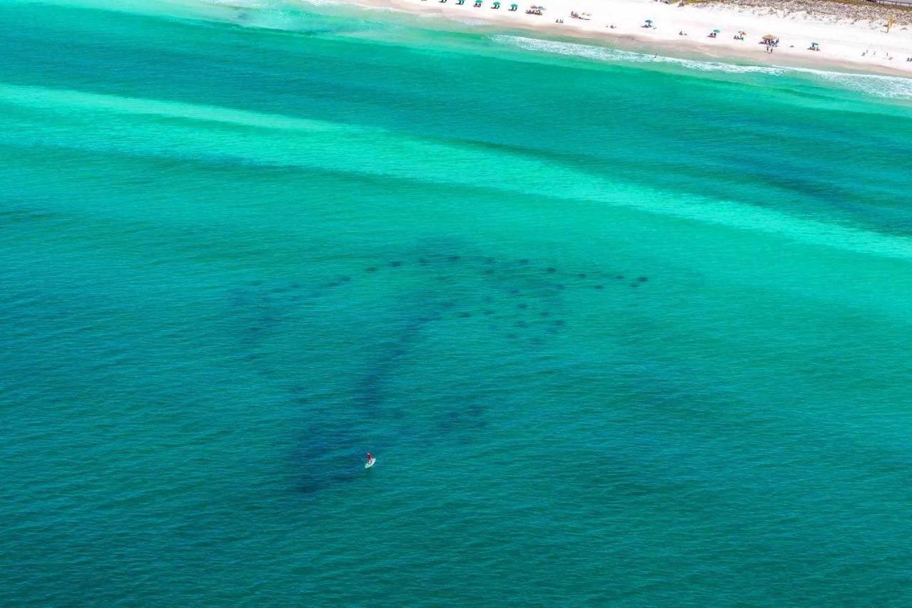 Holiday home Crystal Views Destin