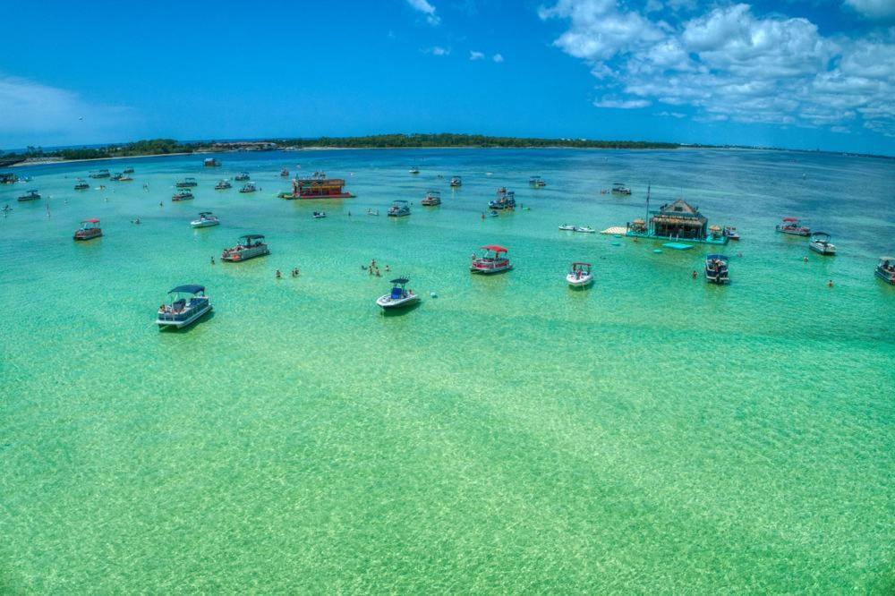 Turtle Cove