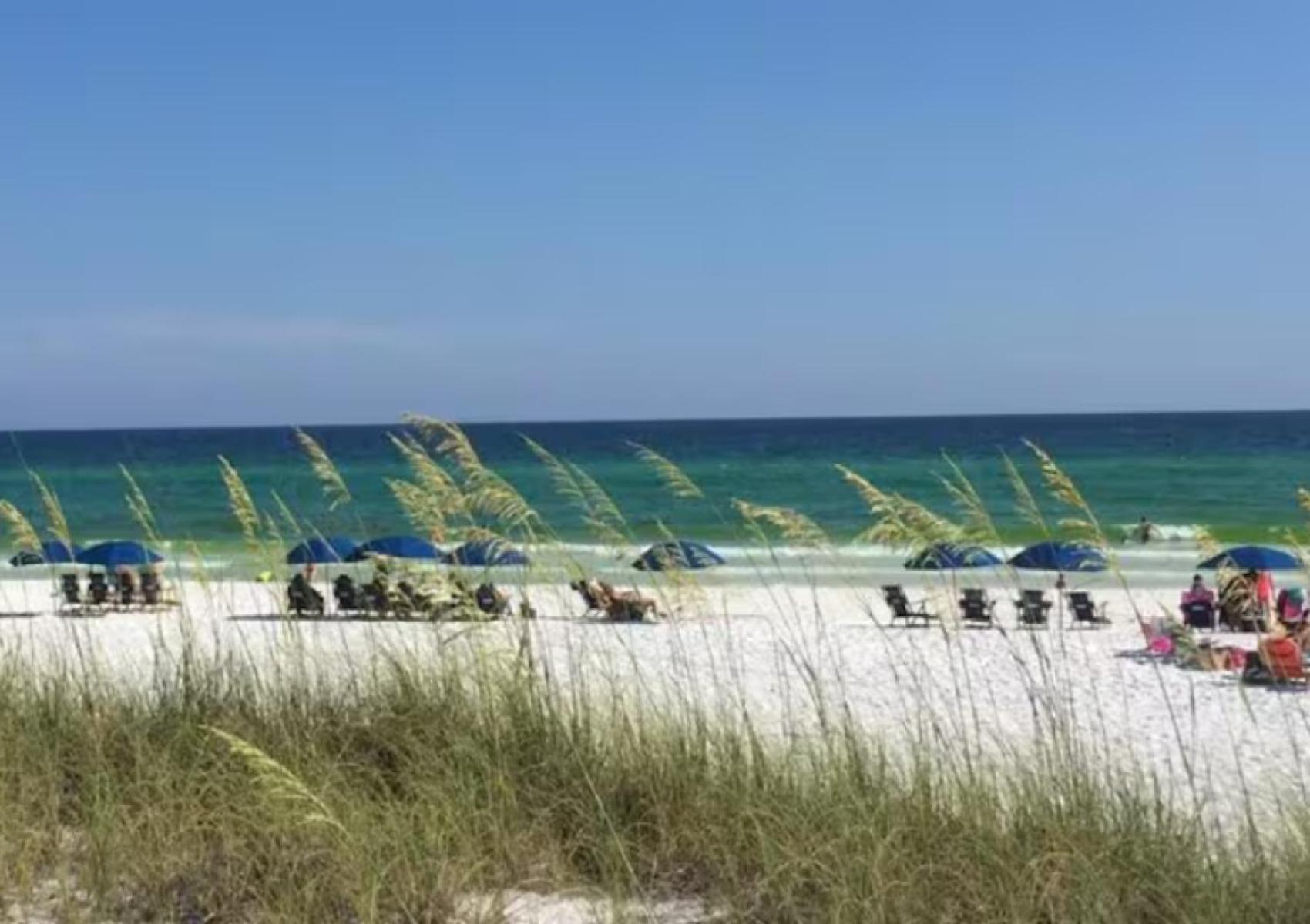 Say Yes To Spring! 4br W Private Pool 2 Min To Beaches Holiday home *