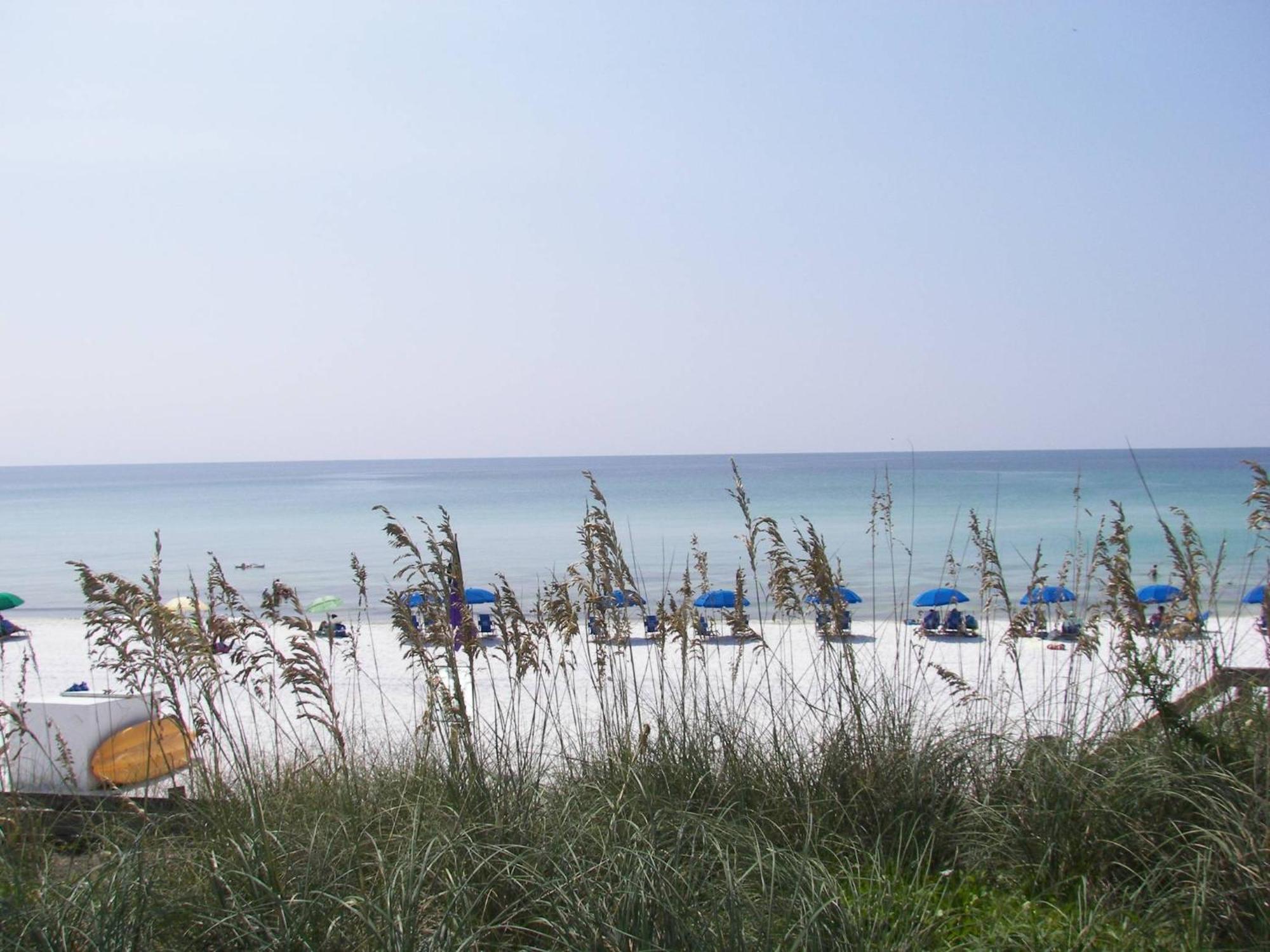 Calatrava Sun Repeat * Destin