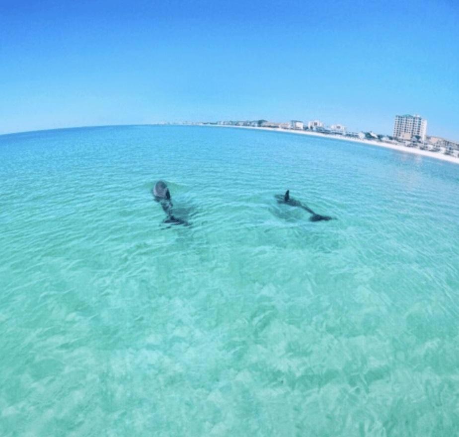 Holiday home Slt 2052-beachfront-close To Everything In Destin!