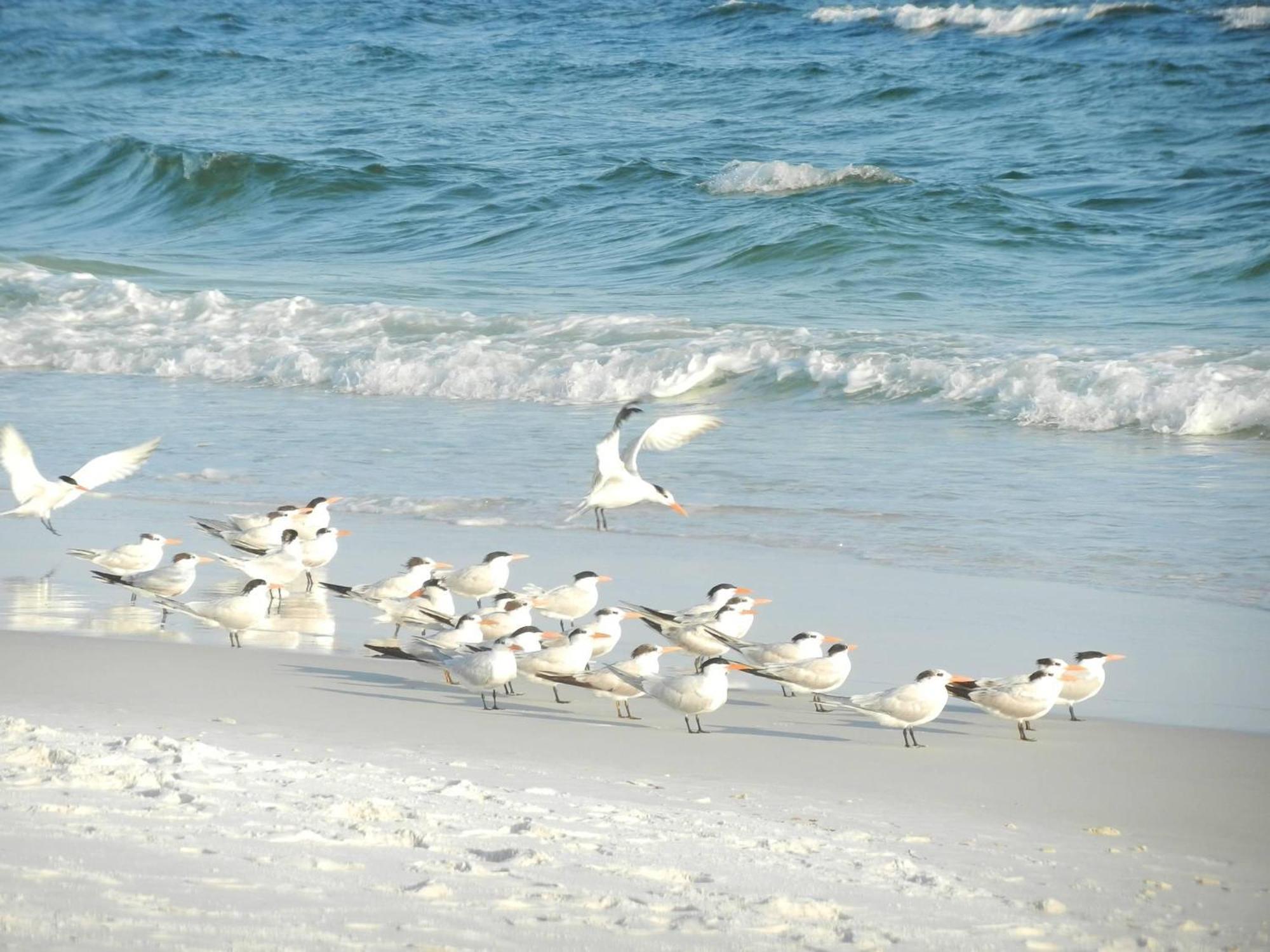 Holiday home Unit 612 Destin
