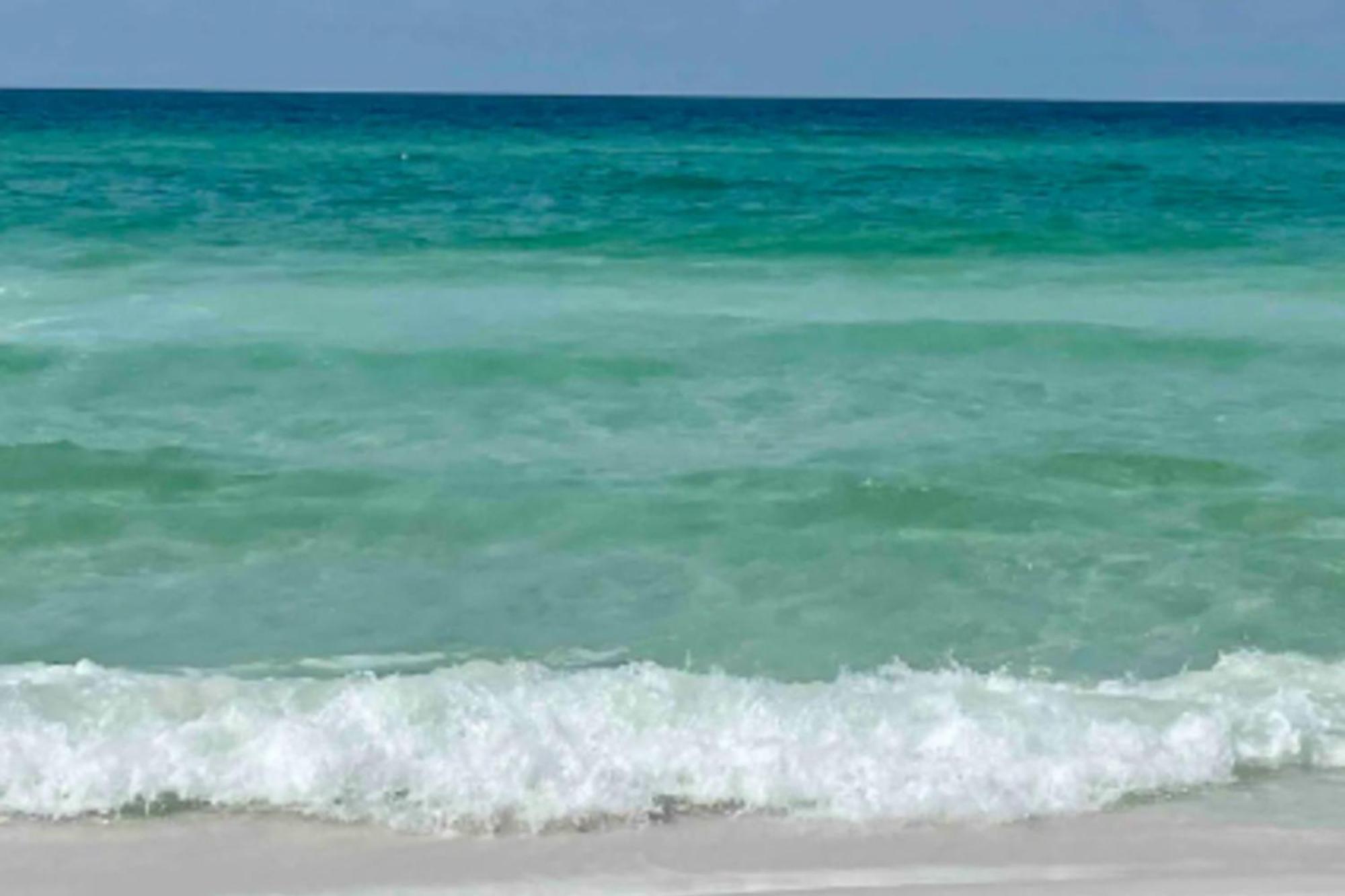 Gulf Walk 102