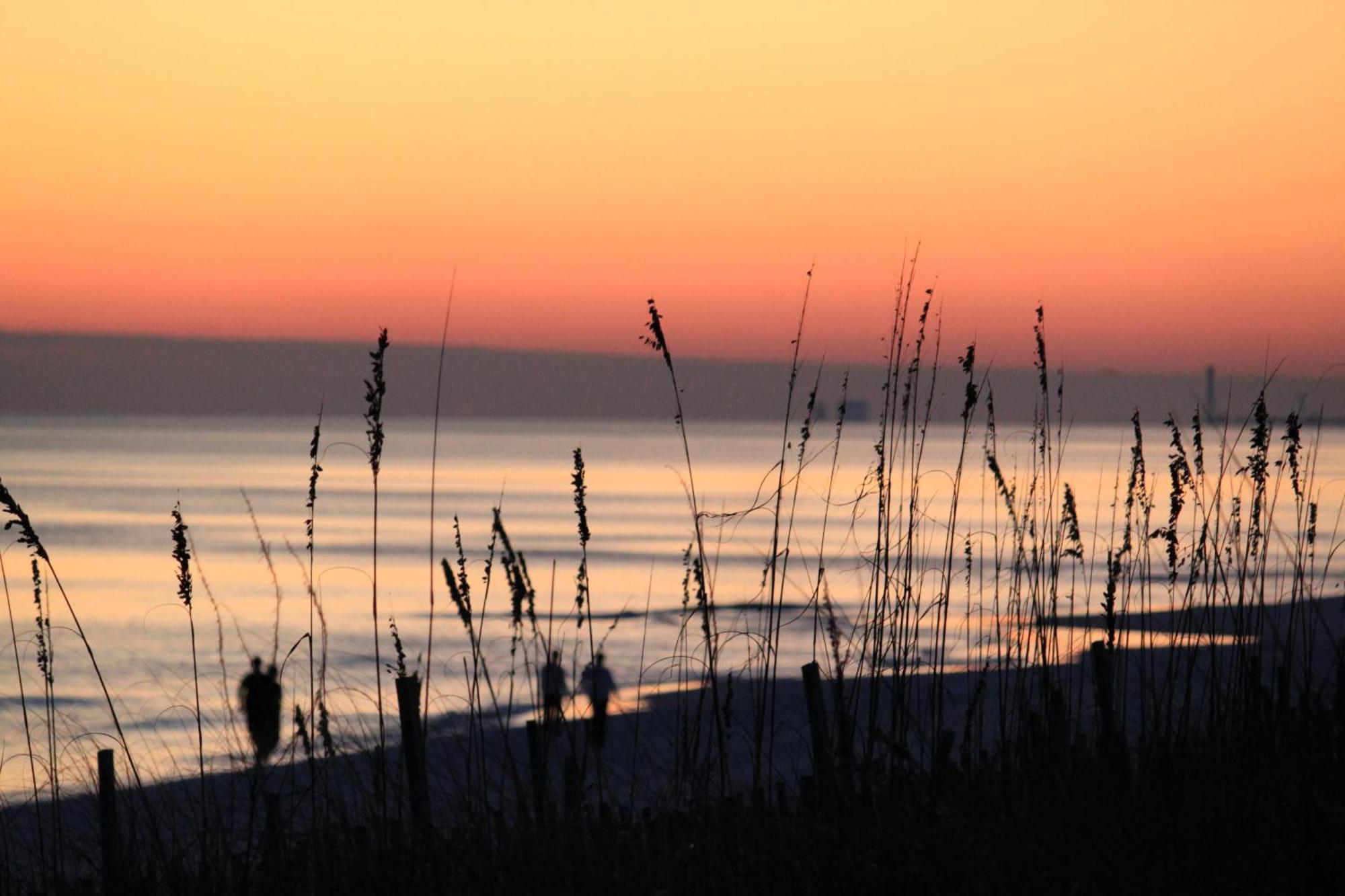 Ariel Dunes Ii 109 Destin