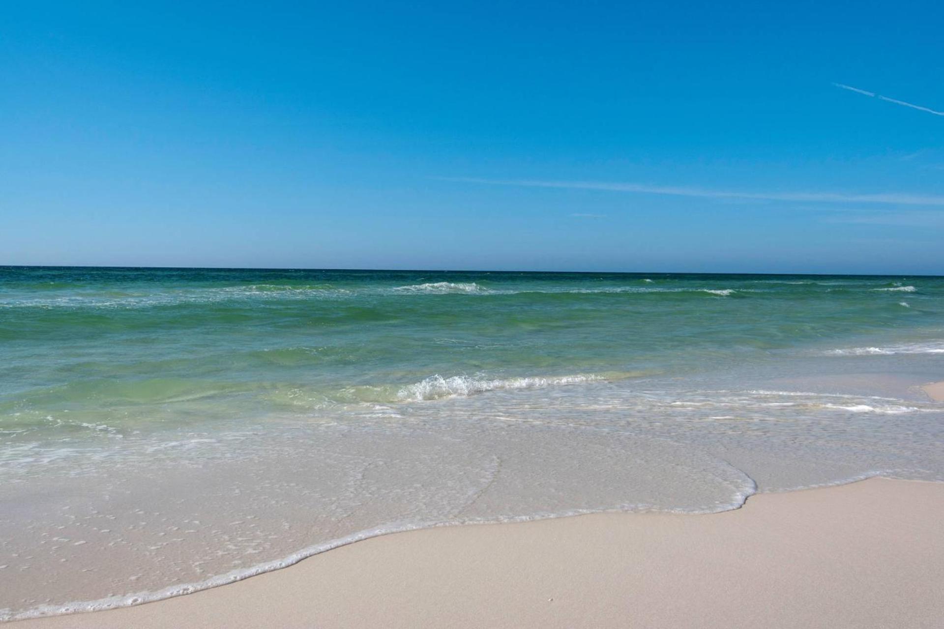 Indian 177 ~ Salty Sandollar Destin