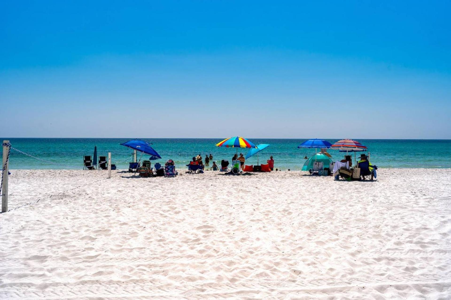 Indian 177 ~ Salty Sandollar * Destin