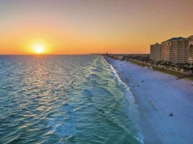 Available For Season! Let's Flamingle Destin