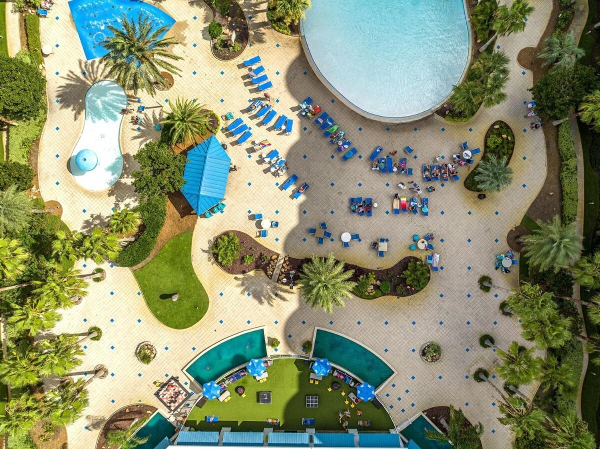 Entire Palms Of Paradise