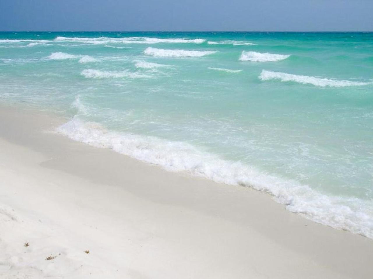 Sun Seeker * Destin