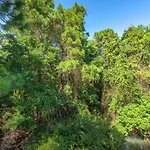Cozy 1Br Condo With Pool And Gym Centrally Located