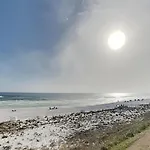Crystal Dunes #201