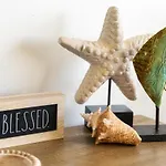 Alerio D402 - Starfish Five