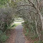 Beach Manor 0211