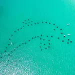 Oceania 902- By Holiday Isle Properties