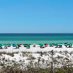 Driftwood Townhomes #8