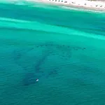 Beach Resort 316