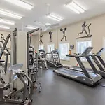 3101A Shoreline Towers Beachfront Rental