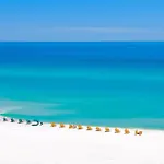 Lavish Escape 4806
