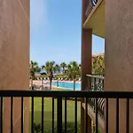 Mediterranea 310D By Newman-Dailey