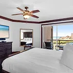 Mediterranea 315E By Newman-Dailey