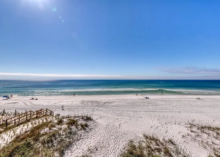 Sand Dollar