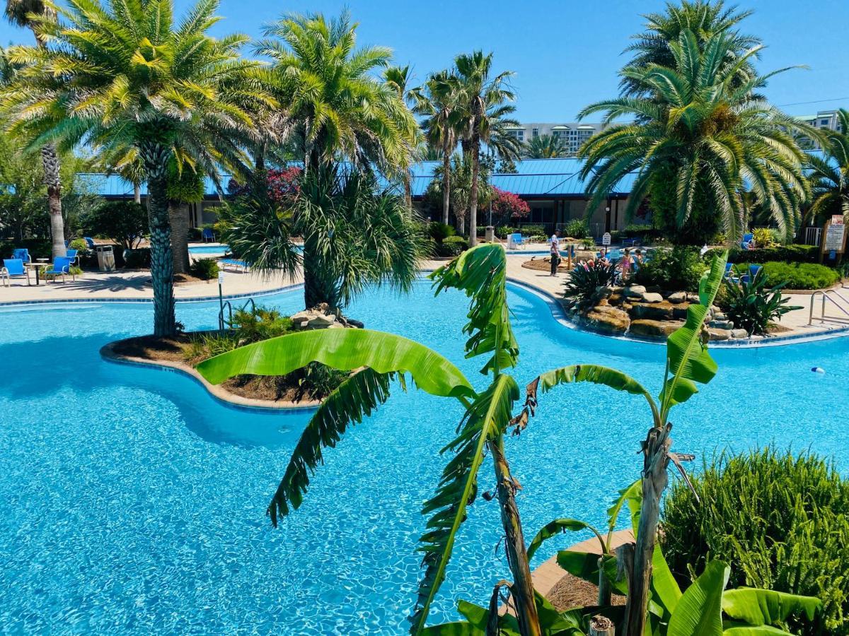 Pool Paradise With 75