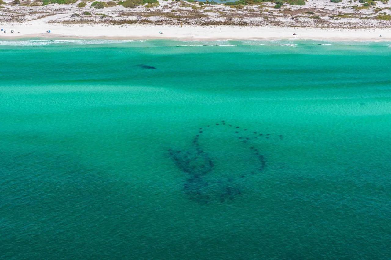 Grand Sandestin 2226