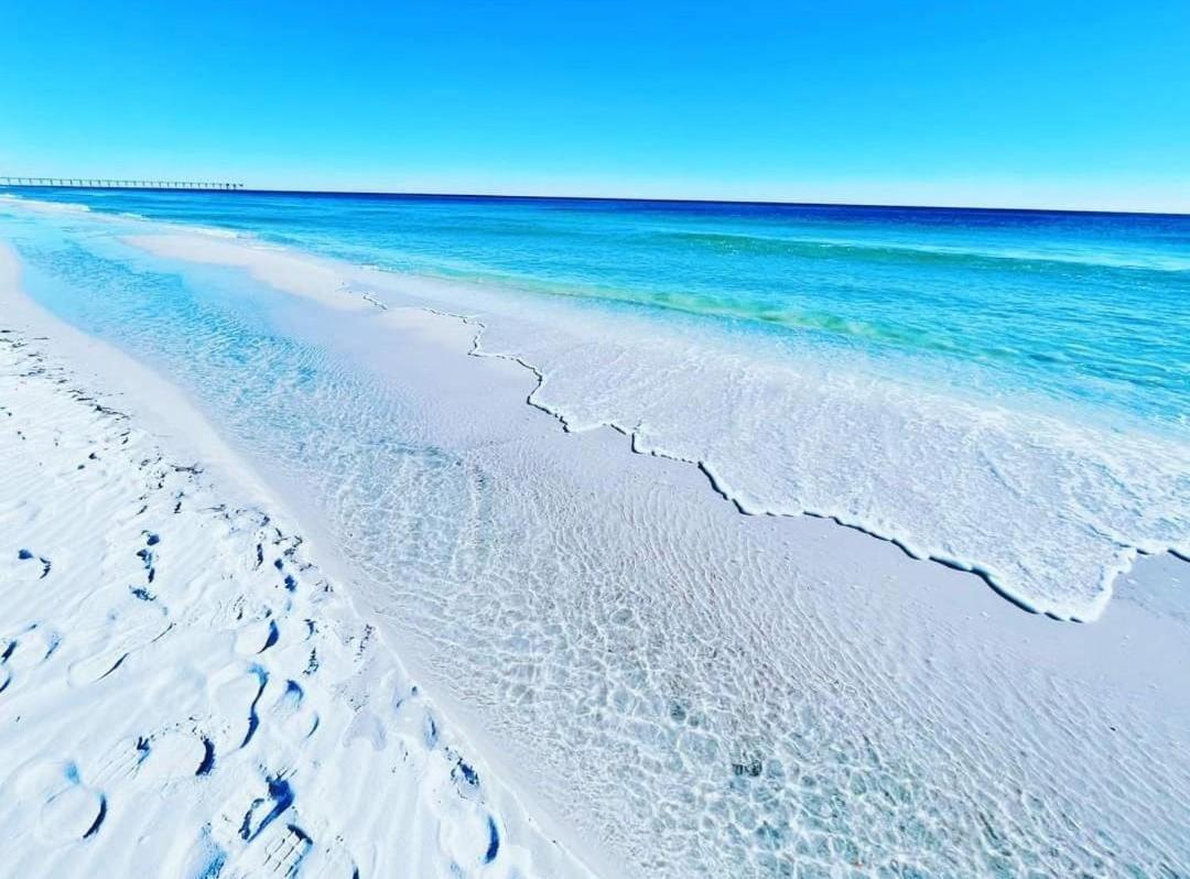 Southbay By The Gulf #122- Salty Paws *