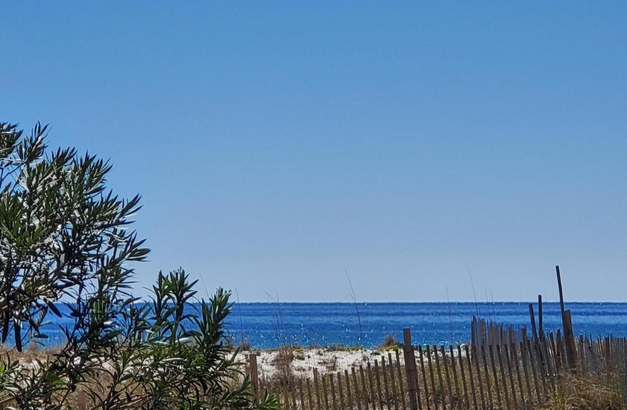 Southbay By The Gulf #122- Salty Paws Destin