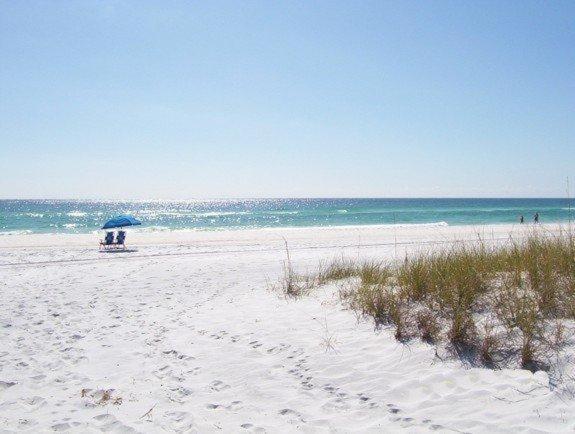 Southbay By The Gulf #122- Salty Paws Destin