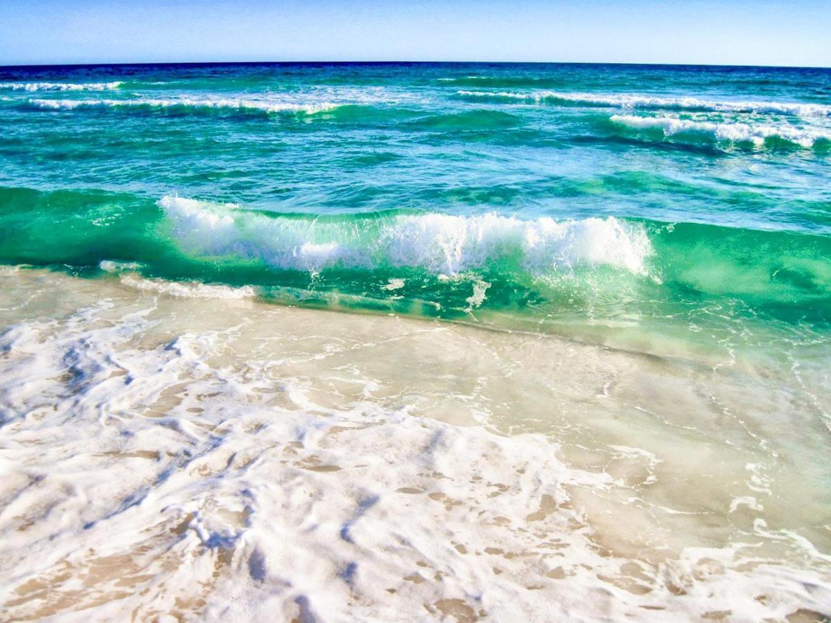 Southbay By The Gulf #122- Salty Paws