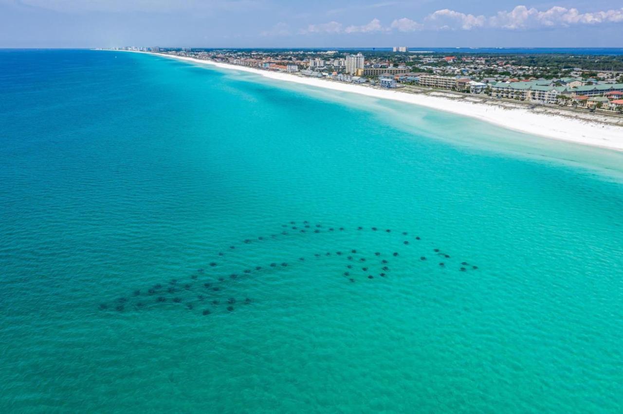 Sandprints C10 * Destin
