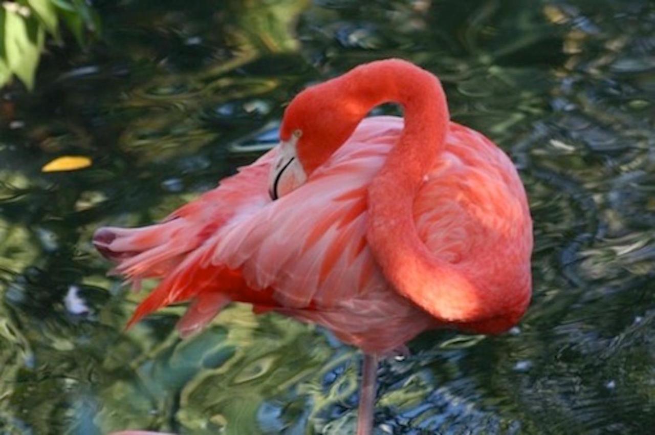Amazing 4 Bedroom Vacation In The Villages Of Crystal Lakes Holiday home Destin