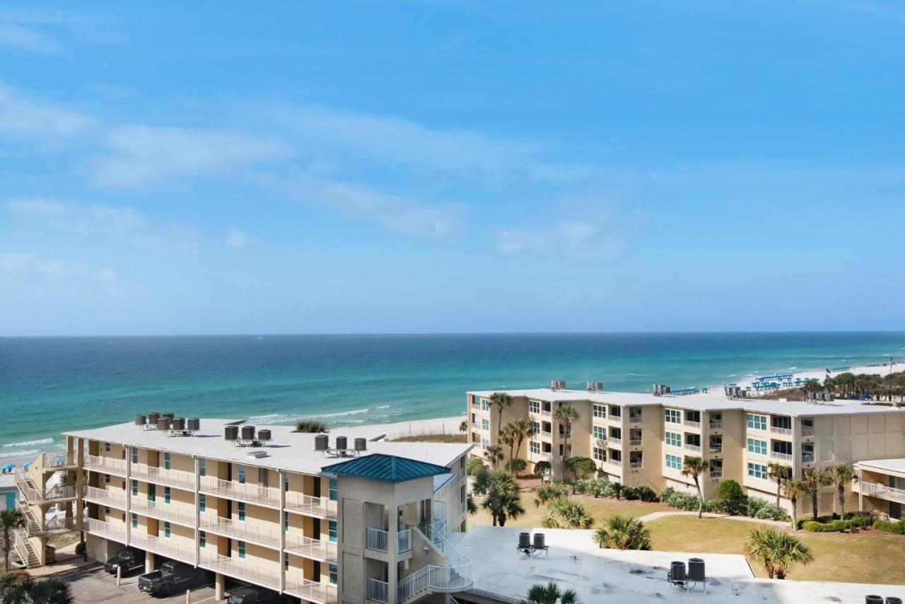 Sundestin 818