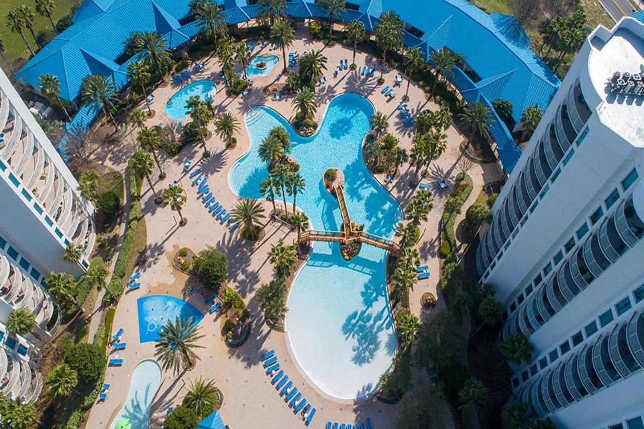 Palms Of 2710