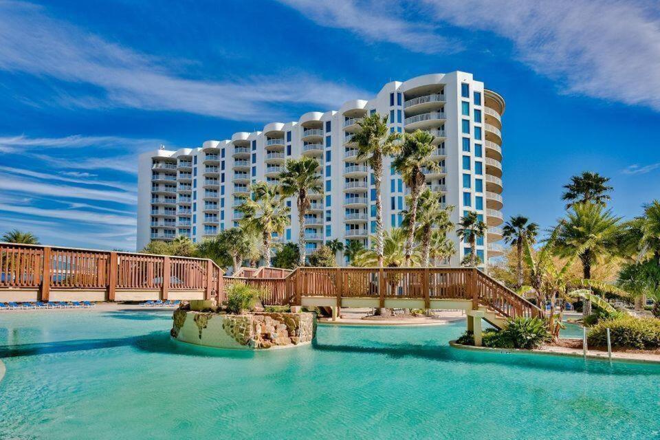 The Palms Of