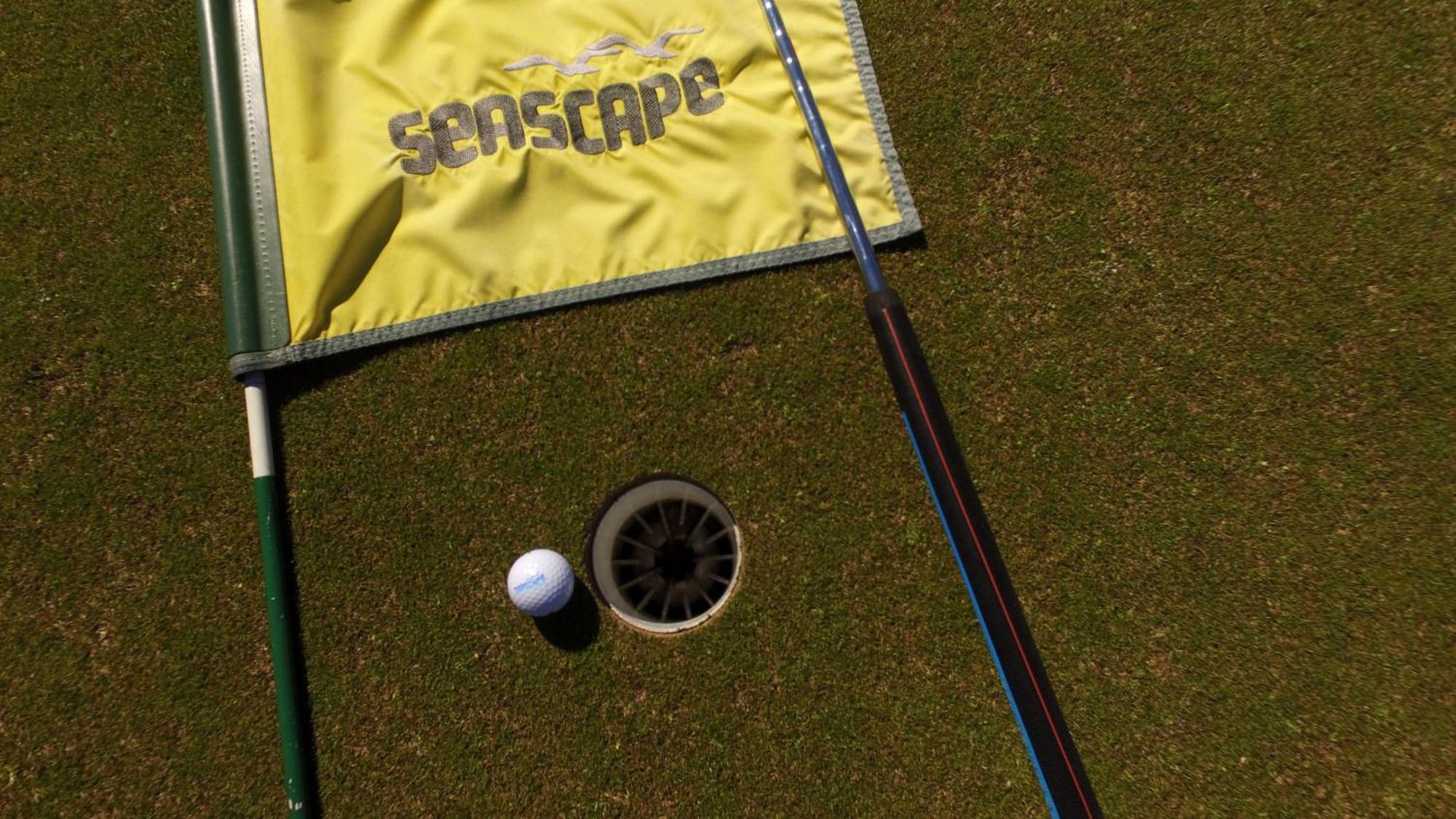 Holiday home Golf Course 31c Destin