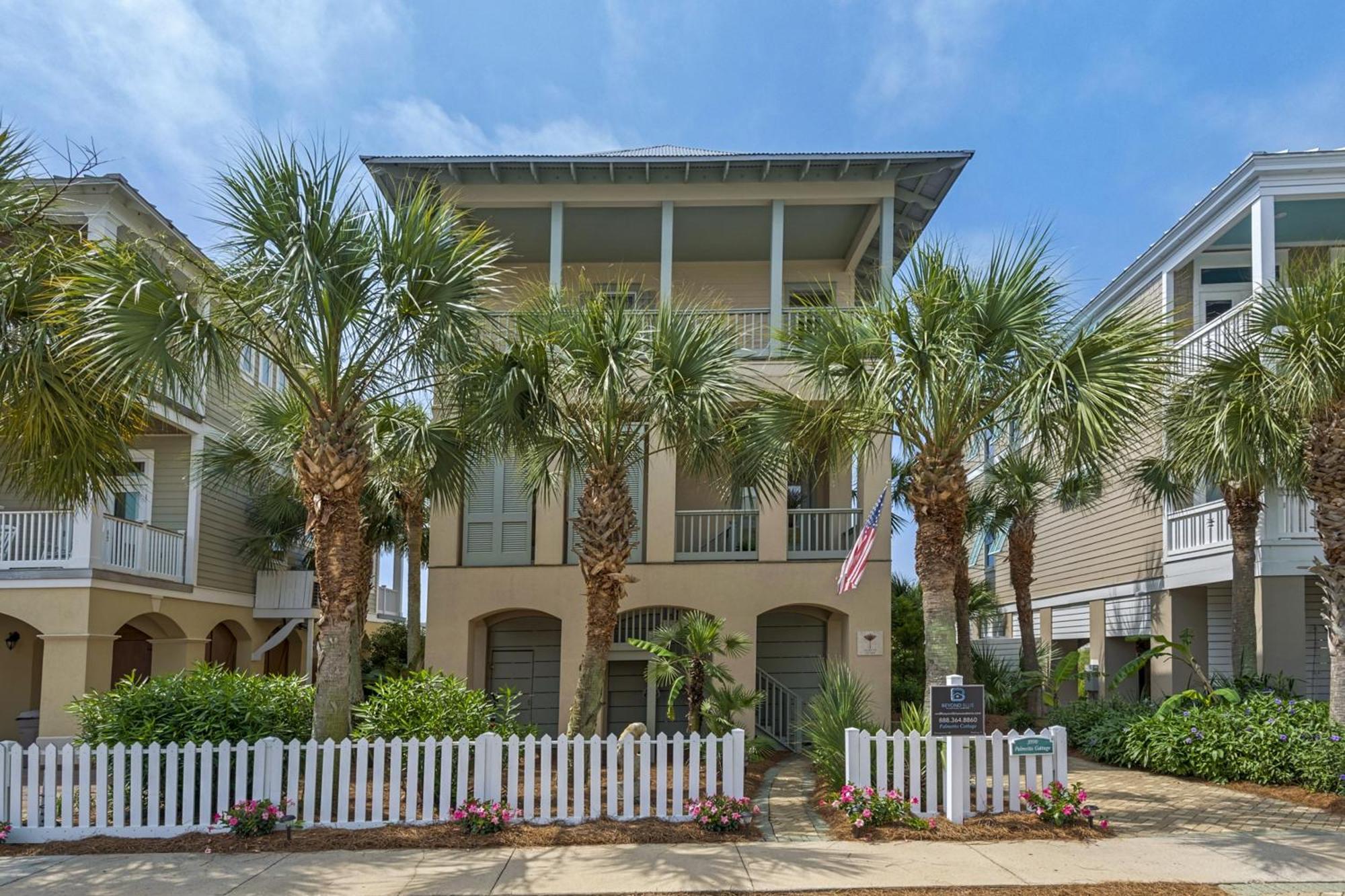Palmetto *