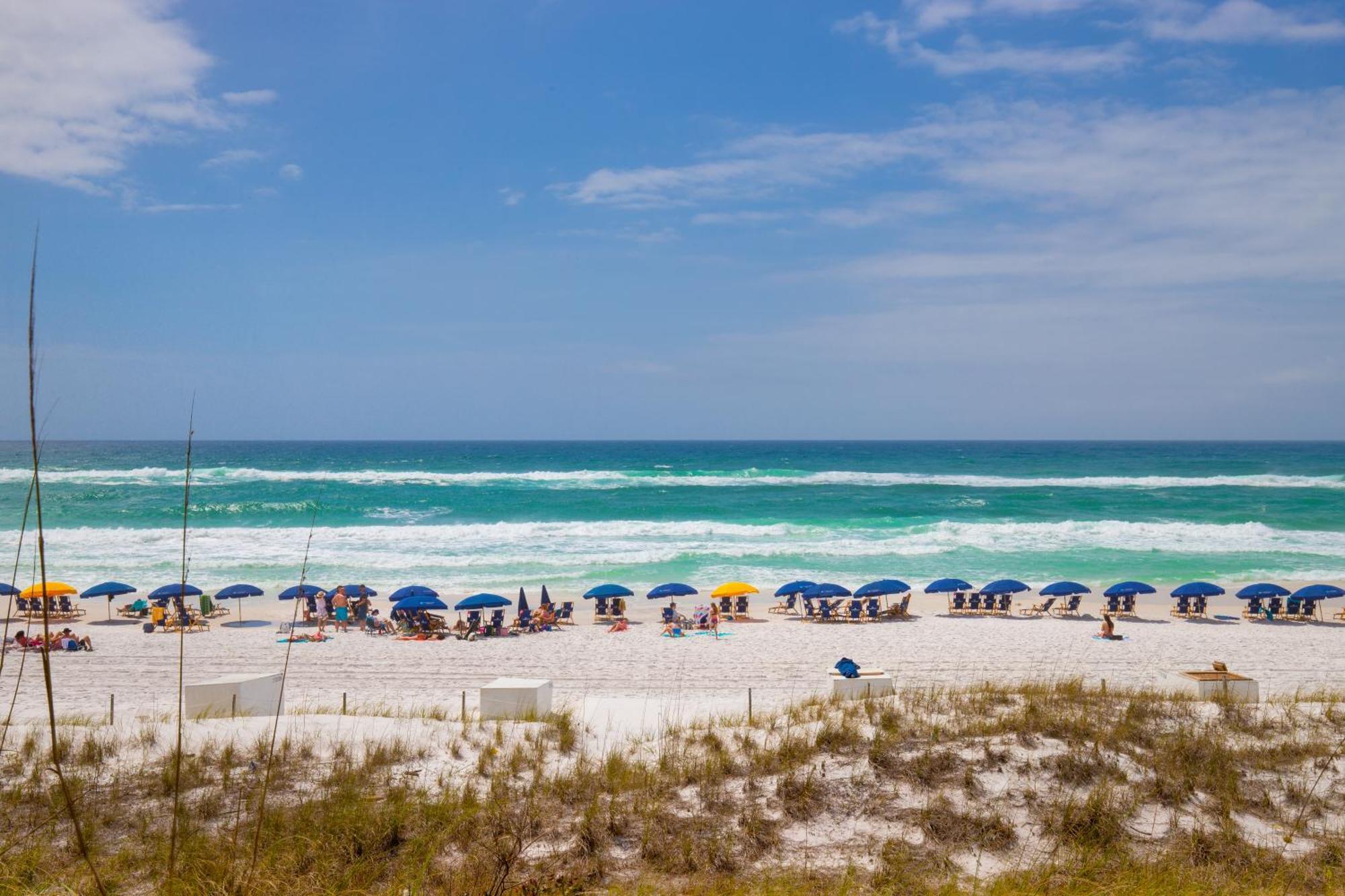 Holiday home Elegant 4bd 4ba With Stunning Ocean Views And Direct & Pool Access