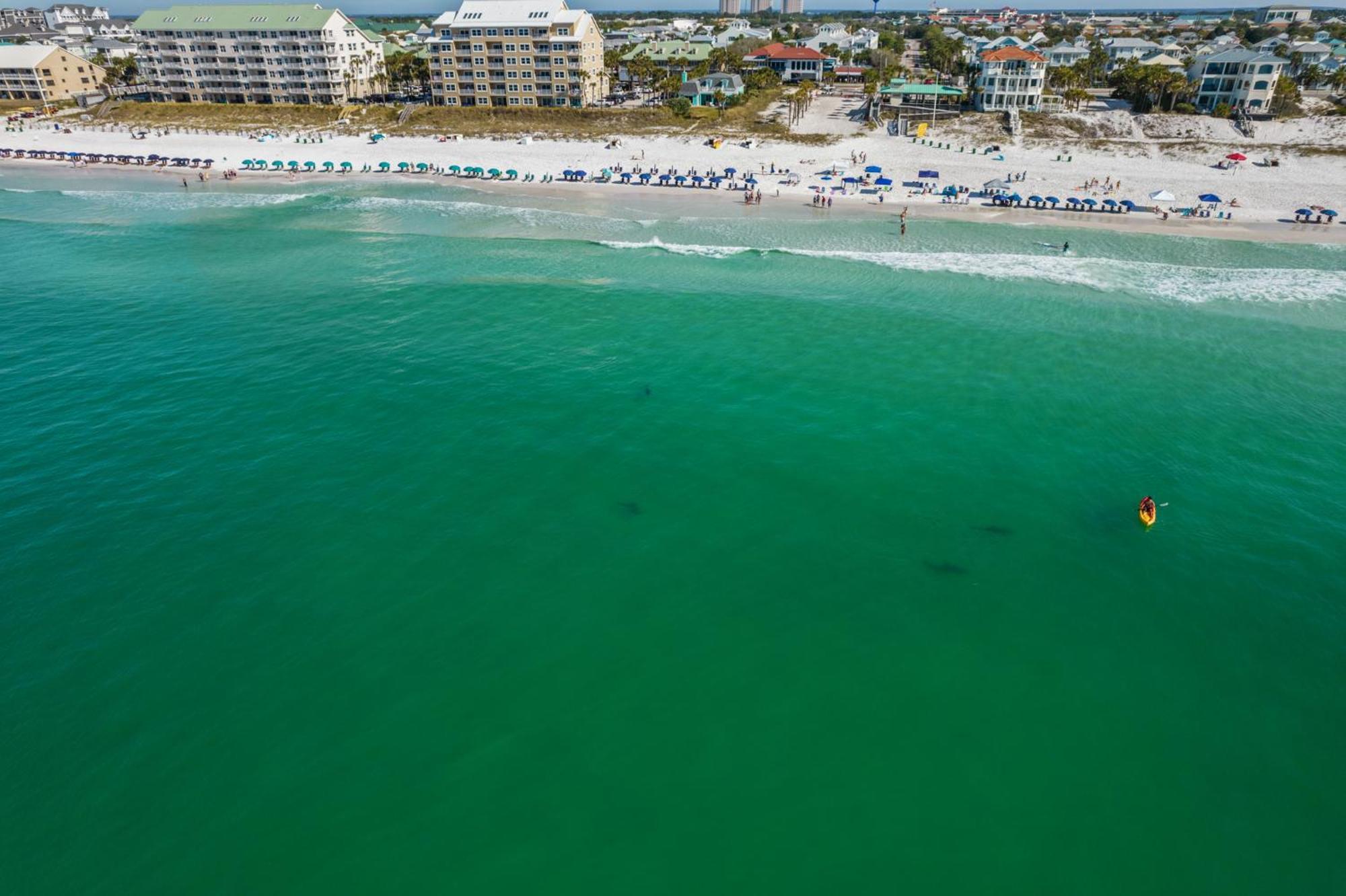 Caribbean Dunes 103 By Newman-dailey Destin