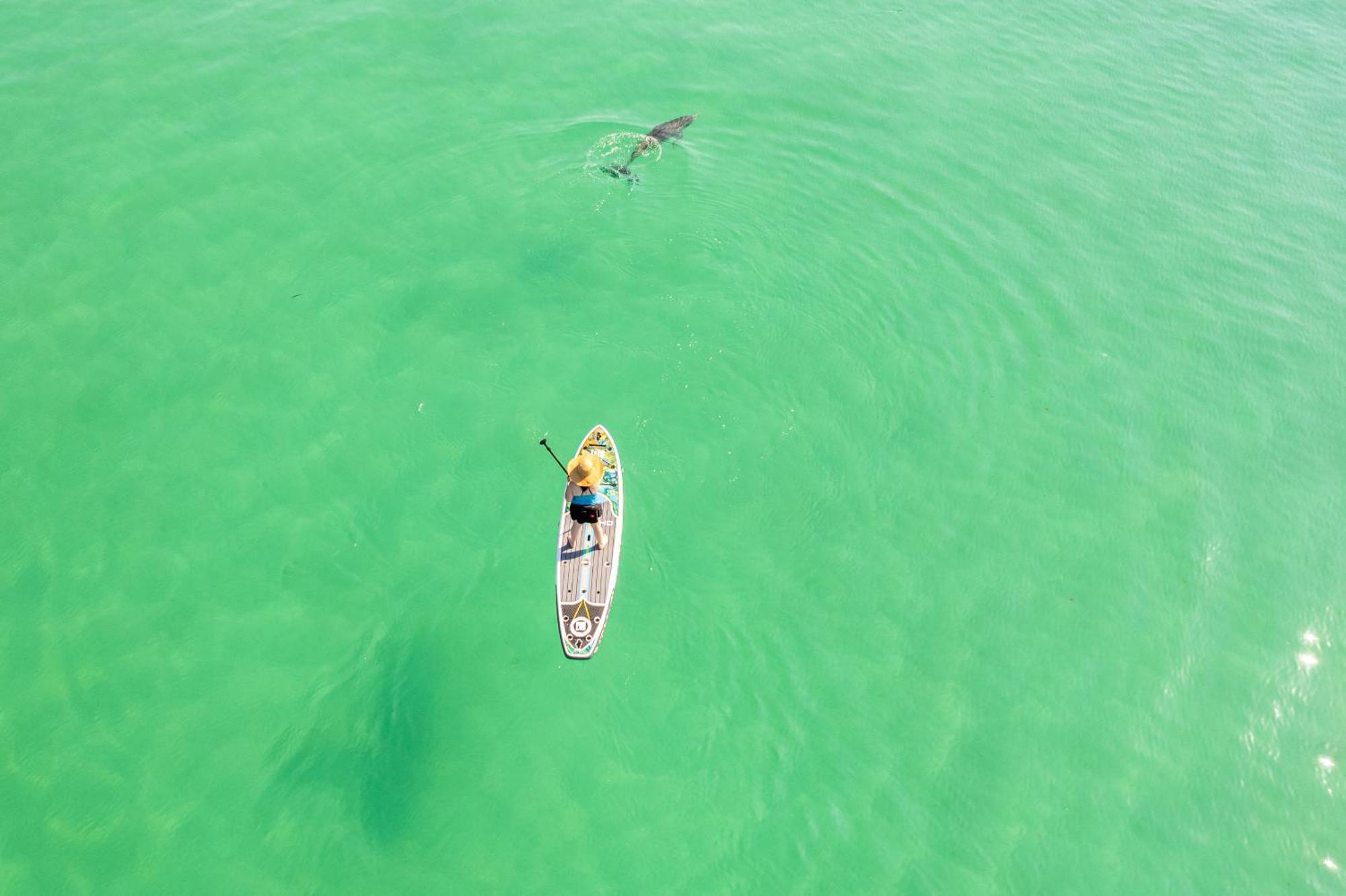 On The Gulf 304-by Isle
