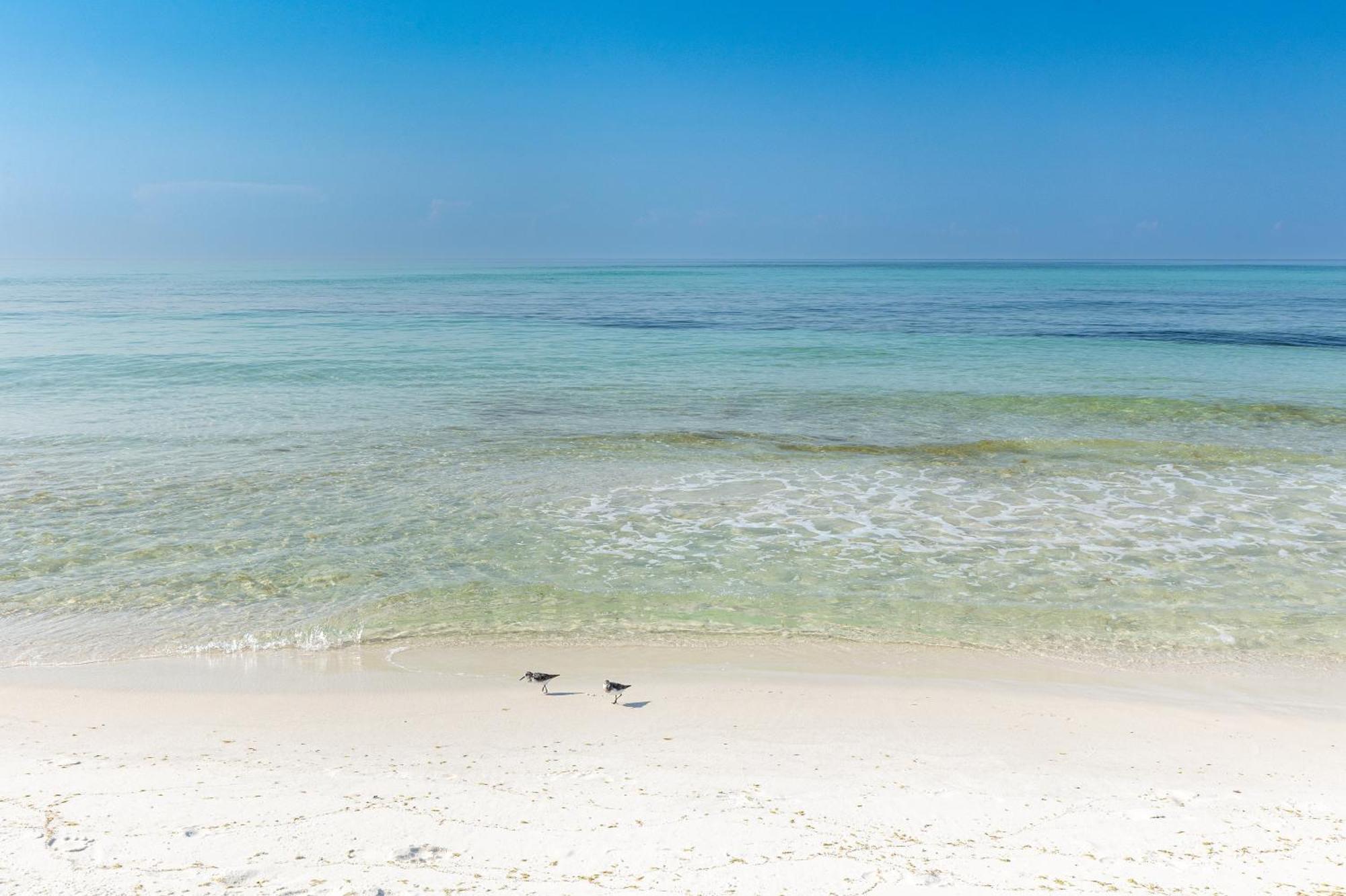 Shoreline Towers 1084- By Isle Apartment Destin