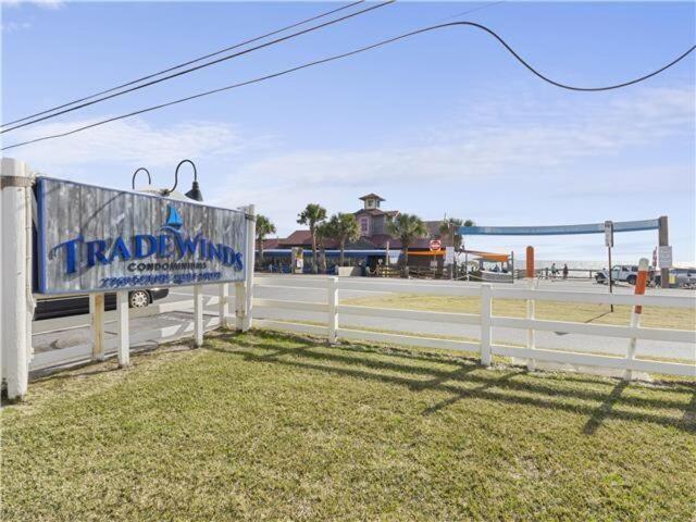 Tradewinds 2