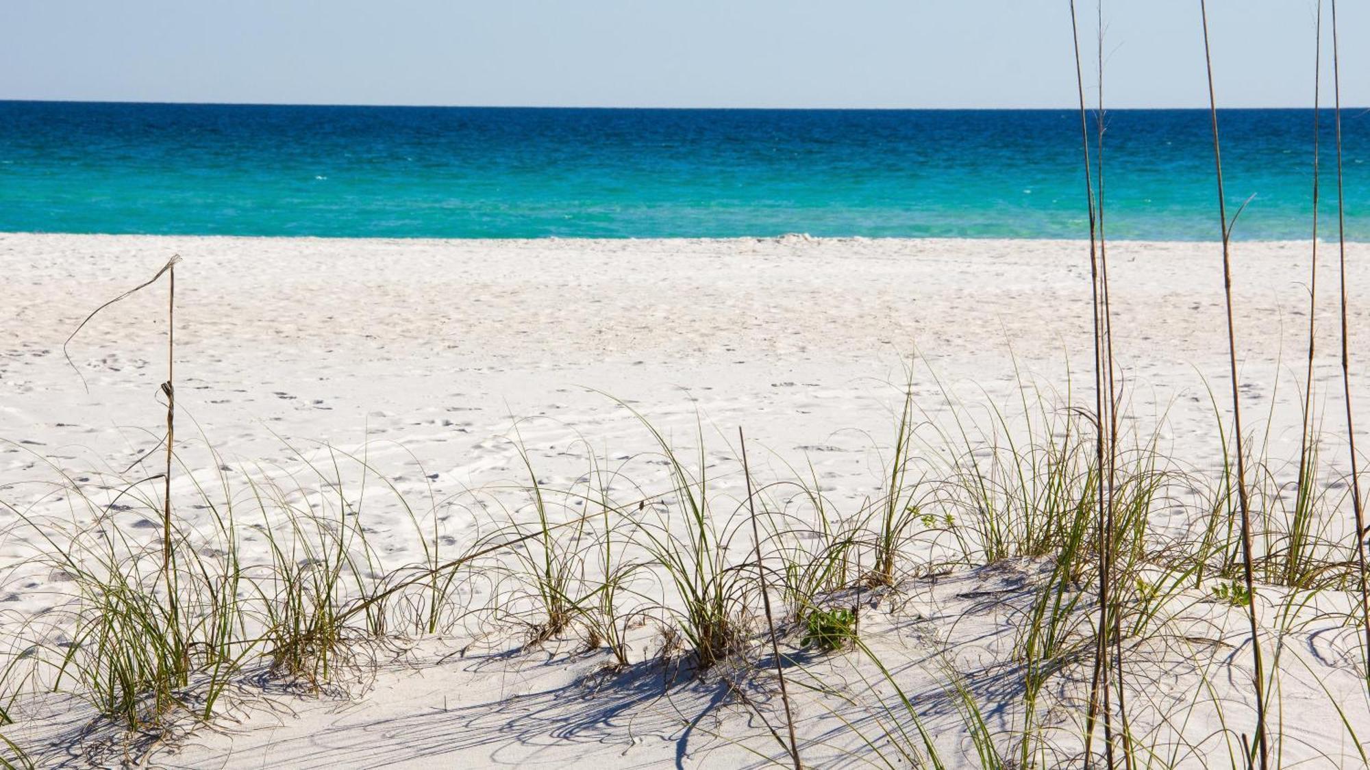 Beachside Two 4235