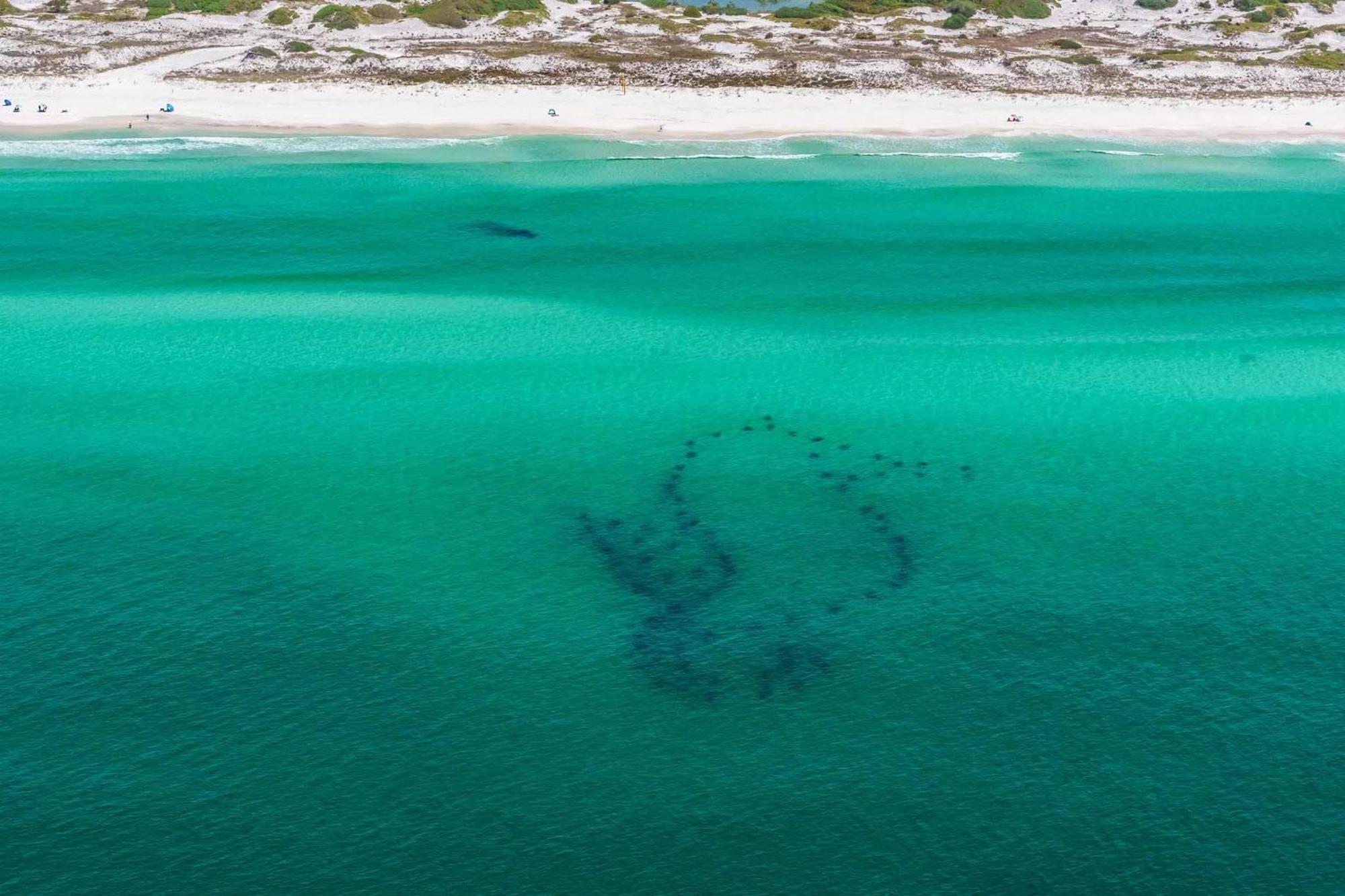 Thirsty Turtle Destin